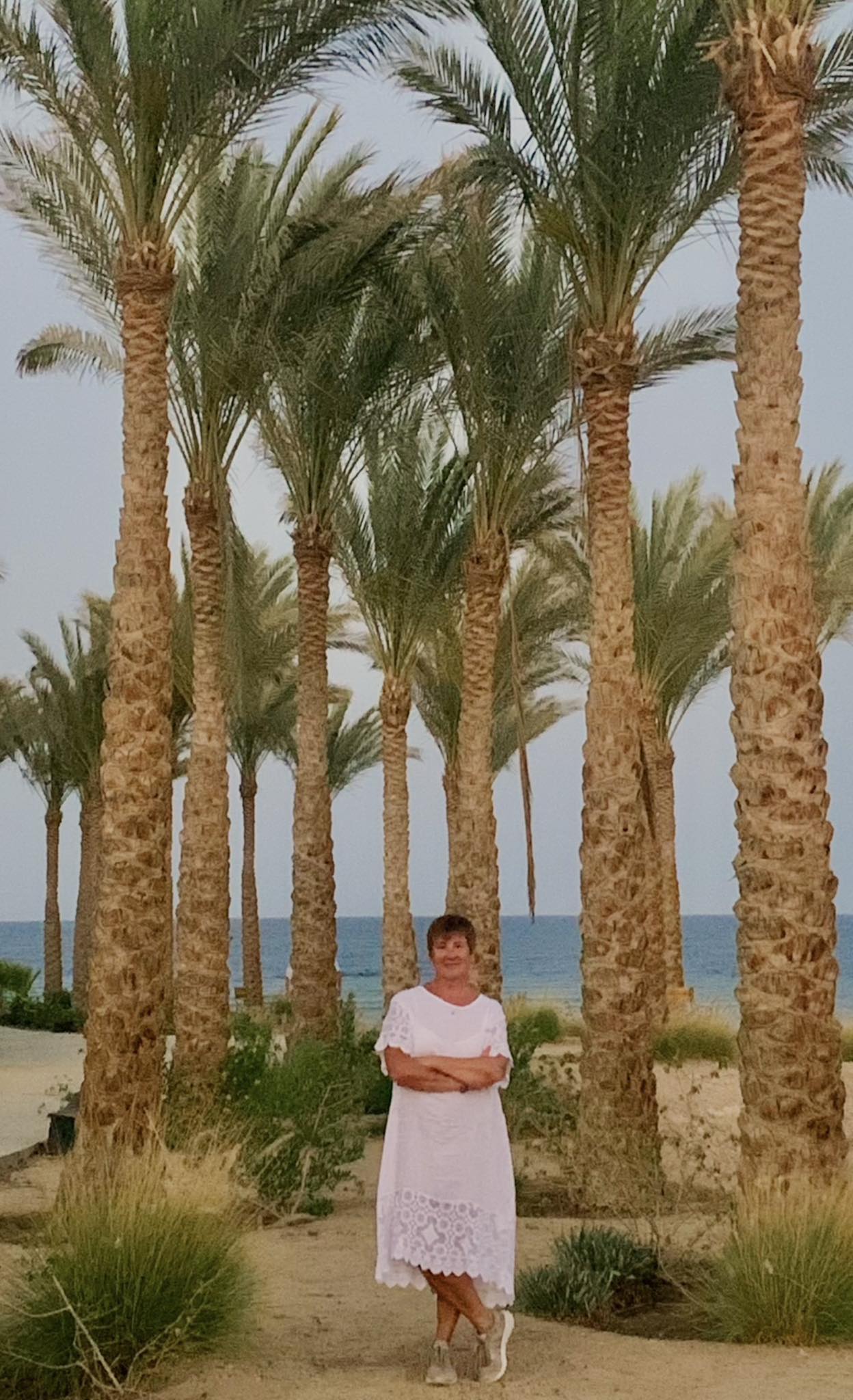 Немає опису світлини.