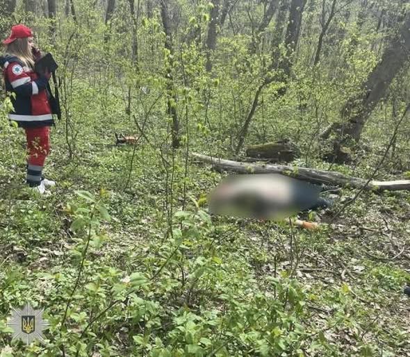 На зображенні може бути: зморшок та дерево