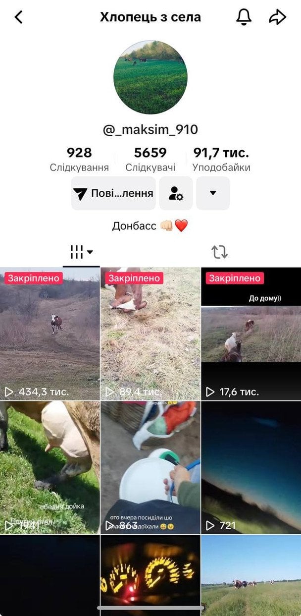 Скриншот сторінки в TikTok maksim910