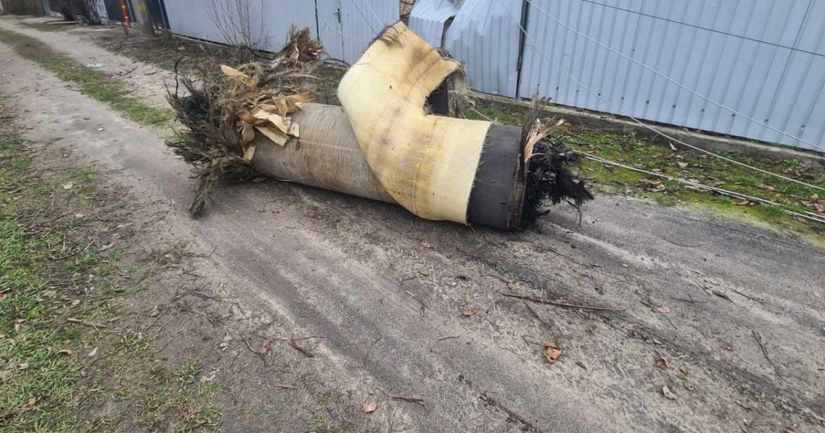 Ракета "Циркон".